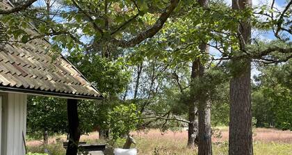 Perfect Family Getaway in Osterlen