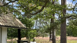 House | Exterior - 4 Star Holiday Home in Degeberga (Degeberga)