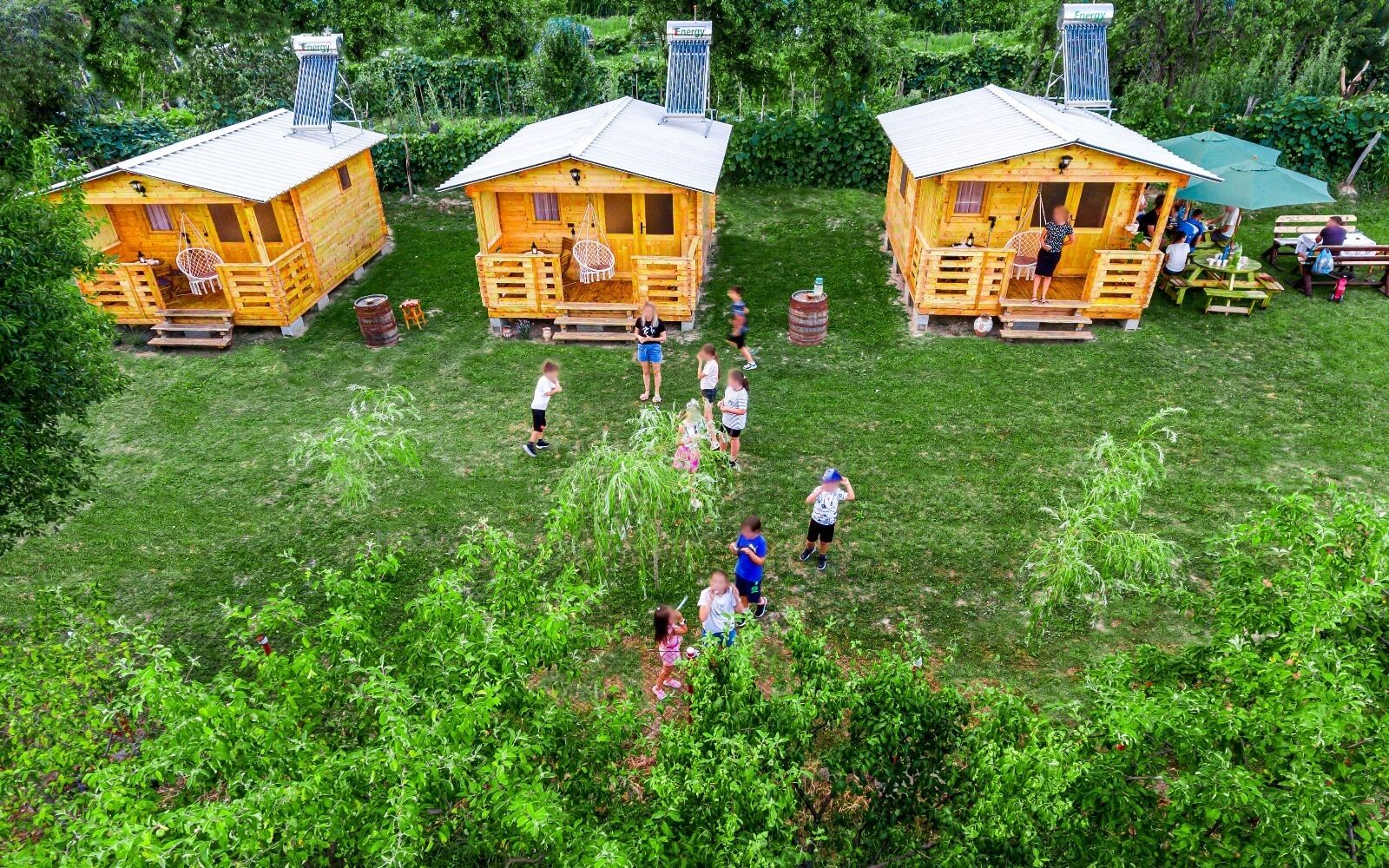 Drie houten vakantiehuisjes met aanbouwen, omgeven door weelderig groen.