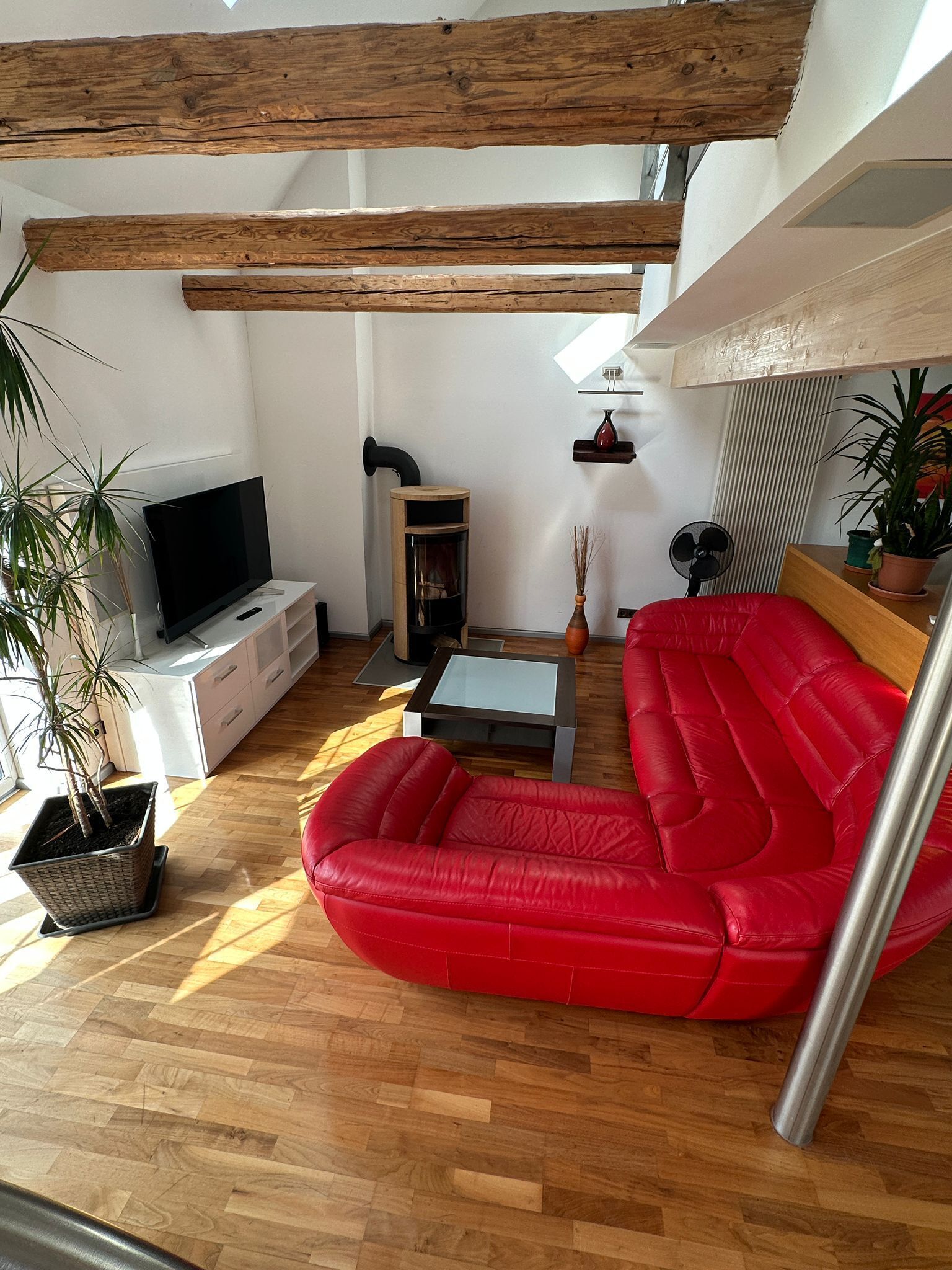 Smart-TV, Kamin