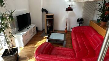 Smart-TV, Kamin