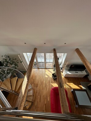 Smart-TV, Kamin