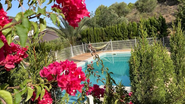 A swimming pool surrounded by lush greenery and flowering plants.