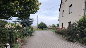 A paved pathway leading to a building with a garden on one side.
