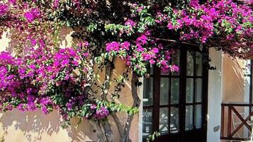Een houten hek met een poort, een gebouw met een raam, en een struik met roze bloemen.