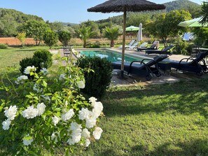Uma área de piscina com espreguiçadeiras e guarda-sóis, cercada por vegetação e vista para colinas.