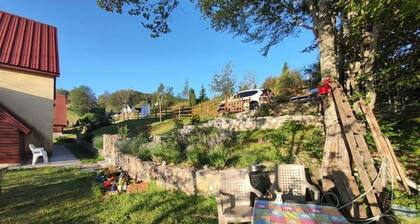Grand Rabbit House on the Hillock