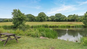 Ein Picknicktisch an einem Teich mit Enten und Schwänen, umgeben von üppigem Grün und Bäumen.