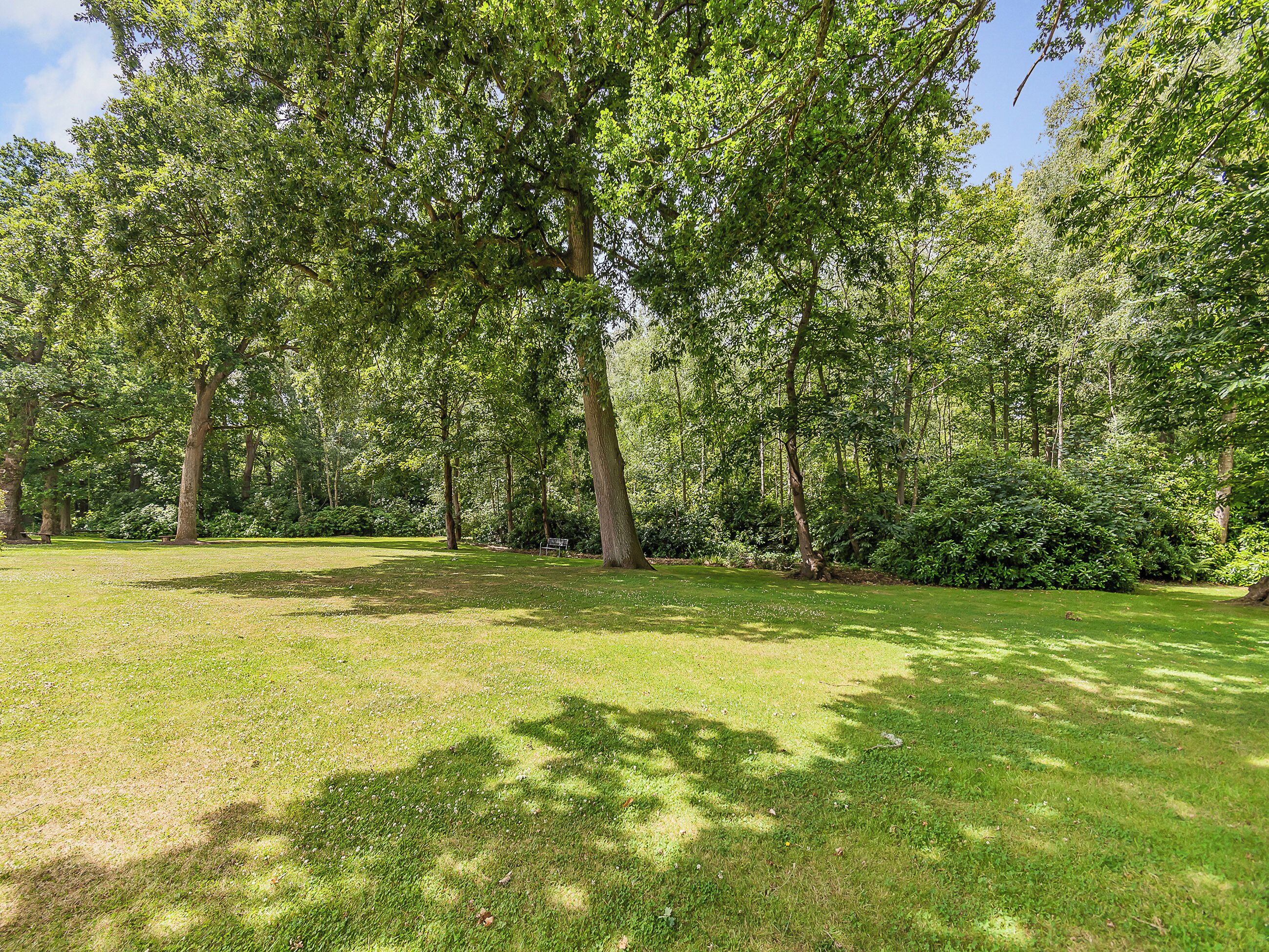 Un parc avec des arbres, de l’herbe et un banc.
