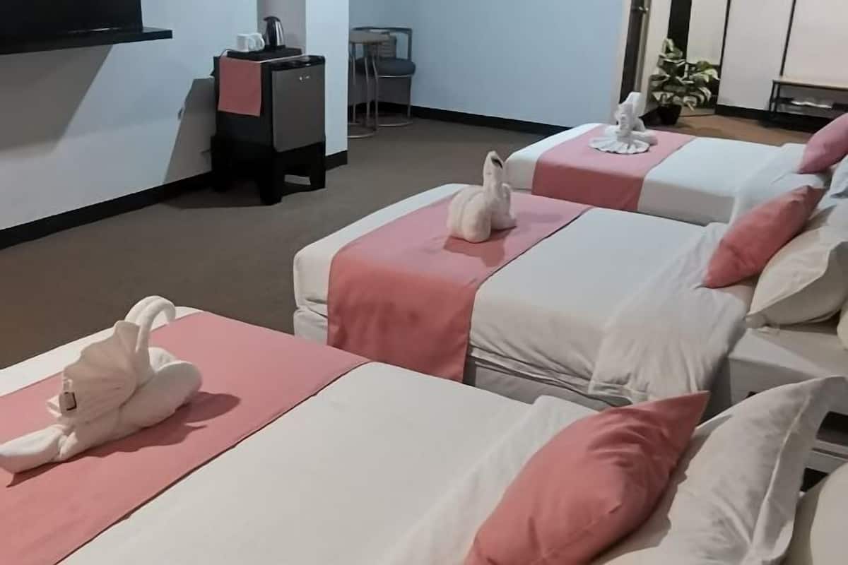 Minibar, desk, free WiFi, bed sheets