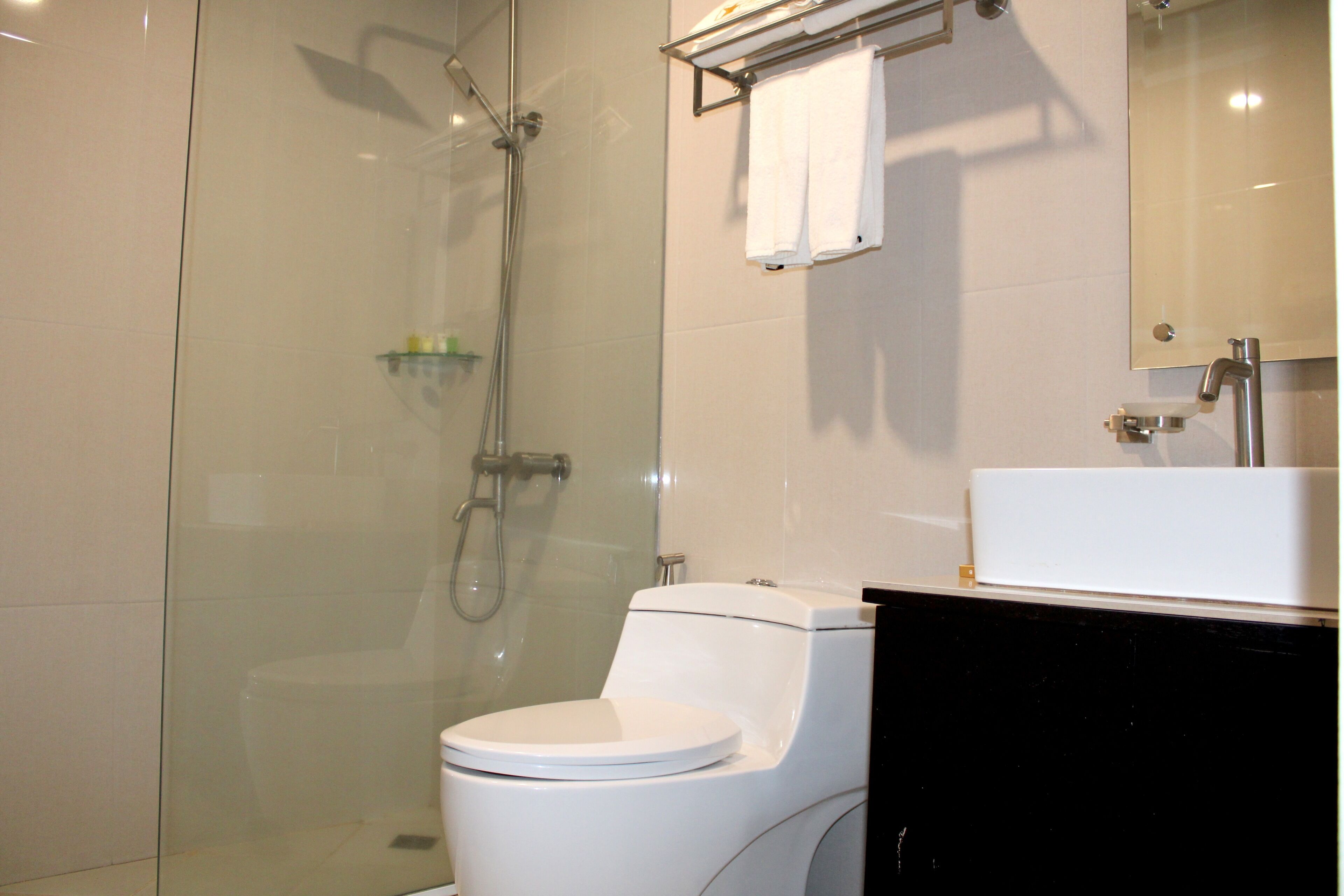 A modern bathroom with a glass-enclosed shower, a white toilet, and a black vanity with a mirror.