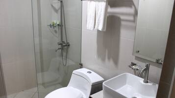 A modern bathroom with a glass-enclosed shower, a toilet, a sink, and a mirror.