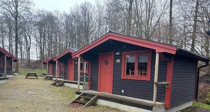 4 Person Holiday Park Home in Rolfstorp