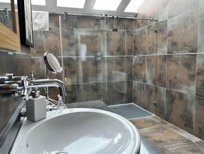Shower, hair dryer, bidet, towels