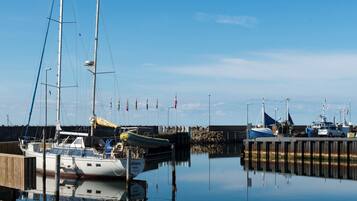 ุดูุฉ | ู
ุงุฑููุง