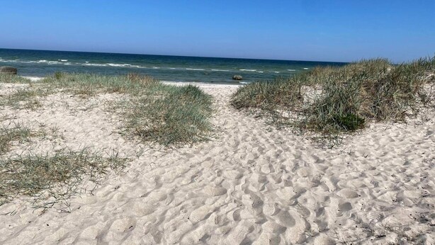 Ein sandiger Strand mit klarem Himmel und dem Meer im Hintergrund.