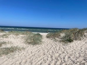 House | Beach