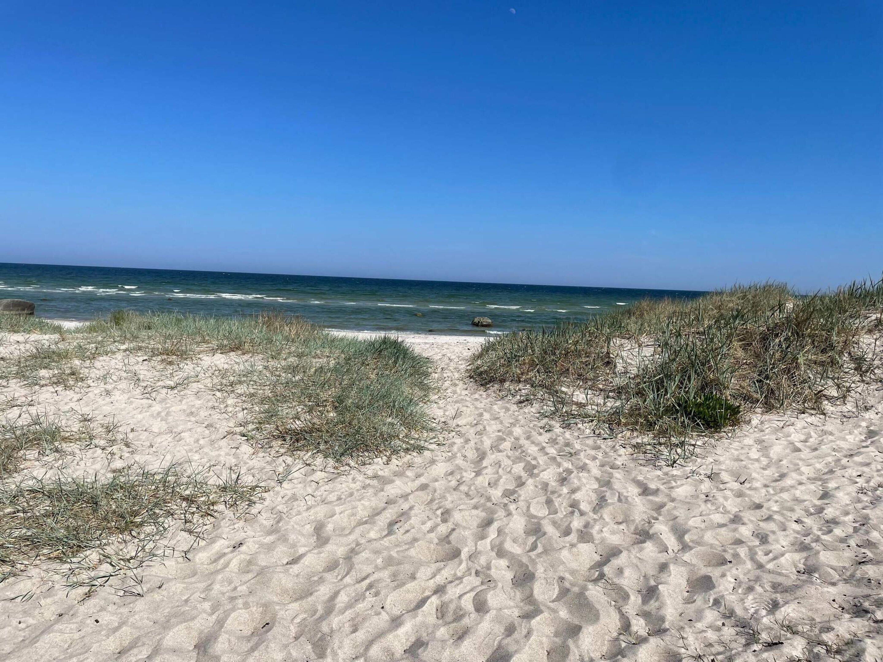 A sandy beach with a clear sky and ocean view.