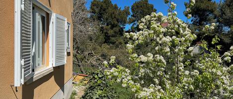 تفاصيل الفندق من الخارج