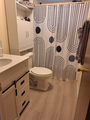 Hair dryer, towels, toilet paper