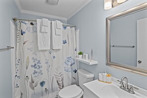 Hair dryer, towels, soap, toilet paper