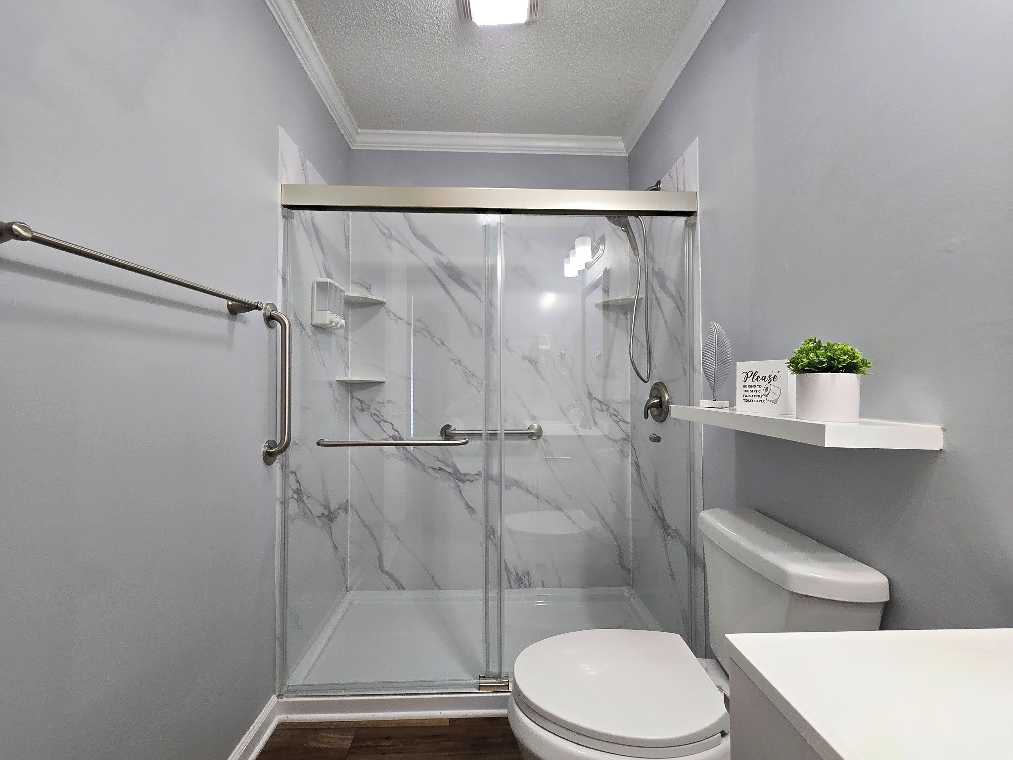 A modern bathroom with a glass-enclosed shower, a white toilet, and a small shelf with a plant.