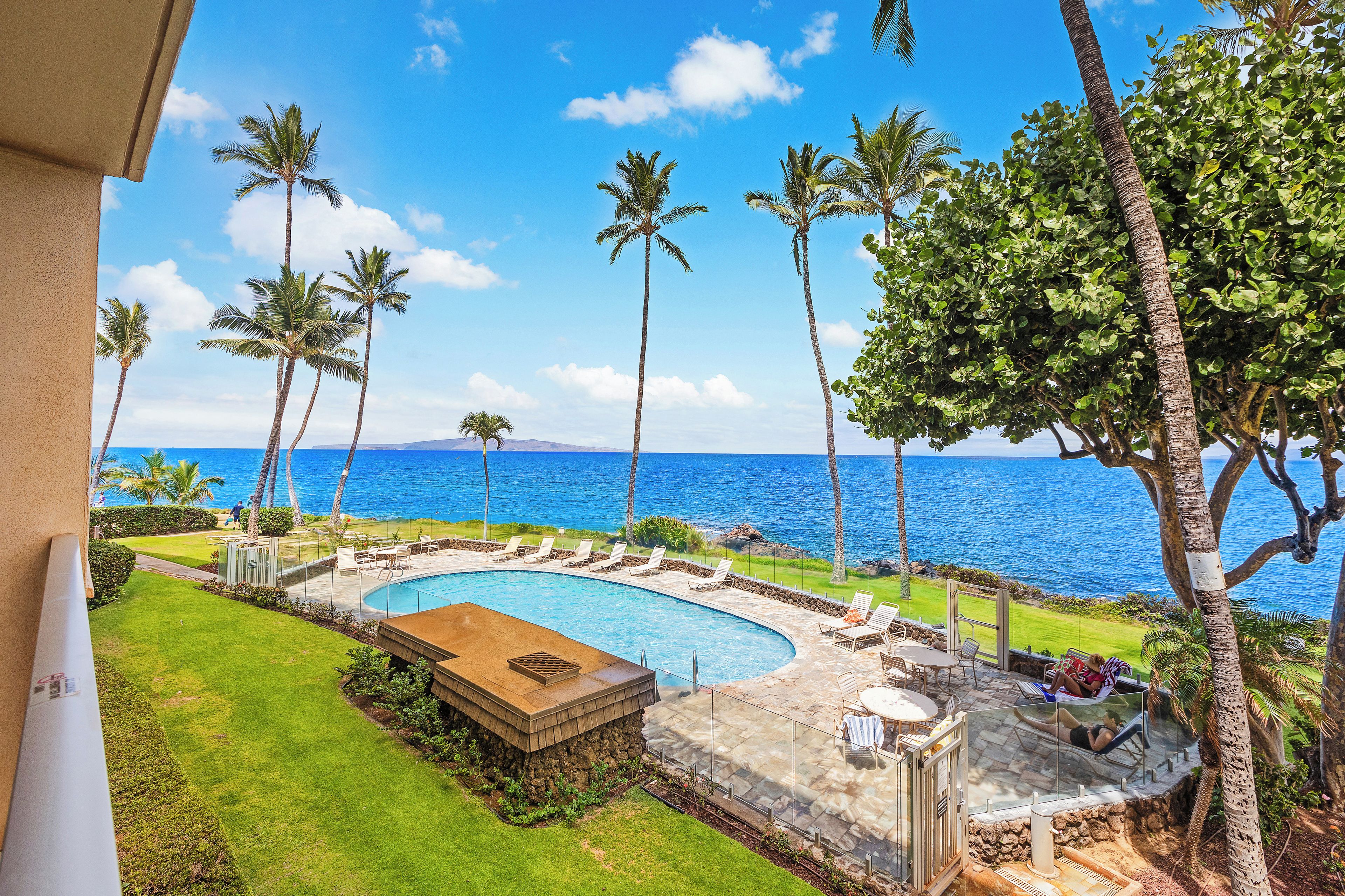 A pool area with a view of the ocean, surrounded by palm trees and a clear sky.