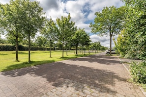 A paved pathway lined with trees and a parked car.