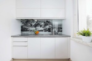 Fridge, microwave, stovetop, dishwasher