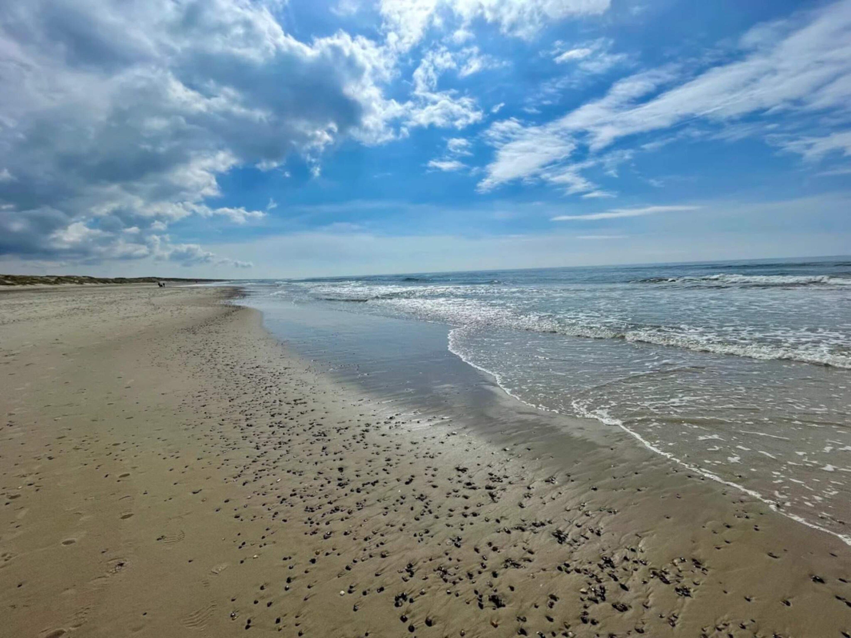 A beach with a wide sandy shore and gentle waves.