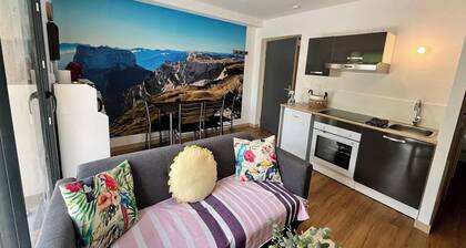 GĂźte 2 chambres, terrasse et parking