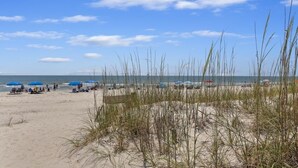 Une plage avec du sable, de l’herbe et un ciel dégagé.