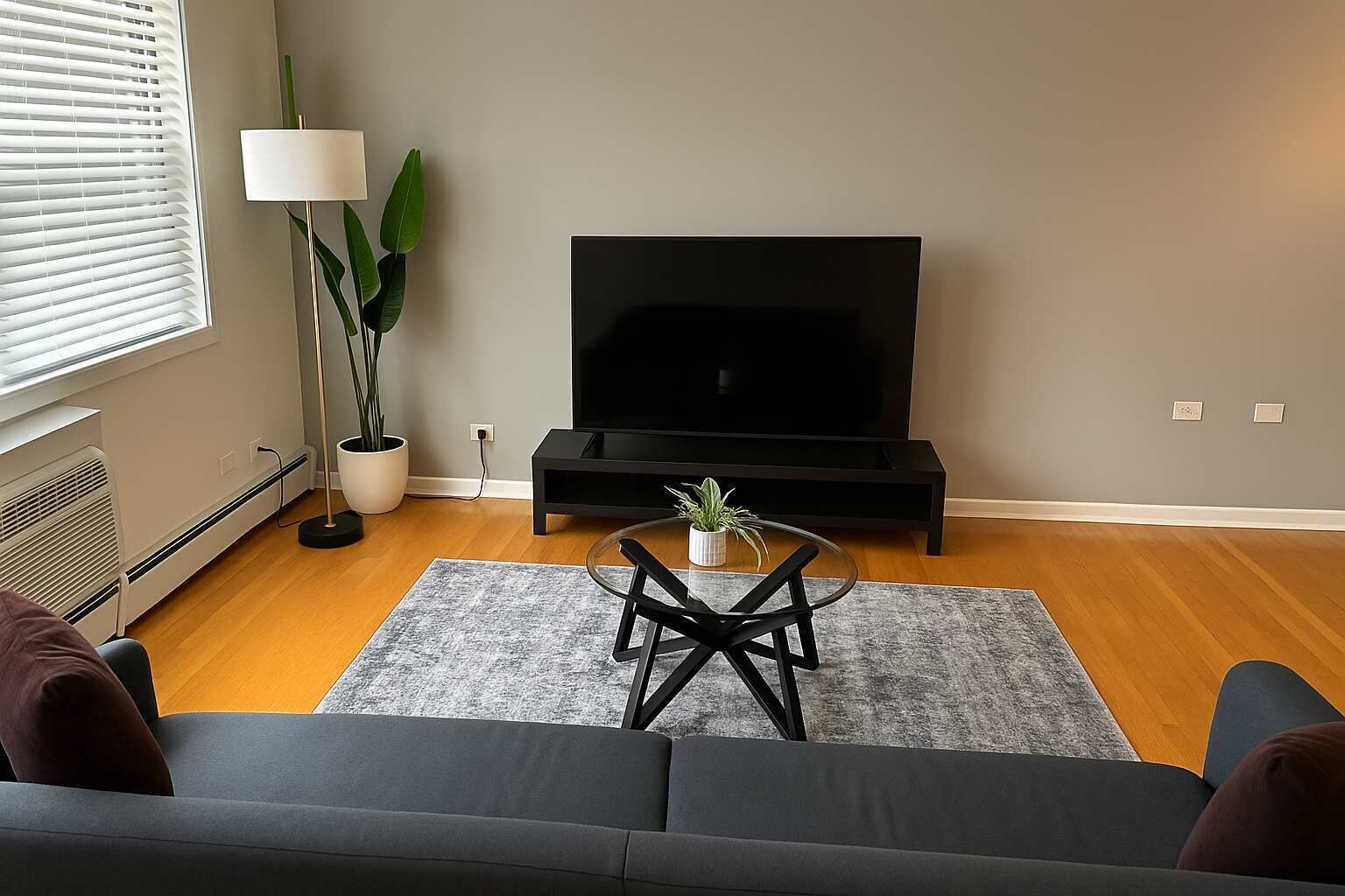 TV