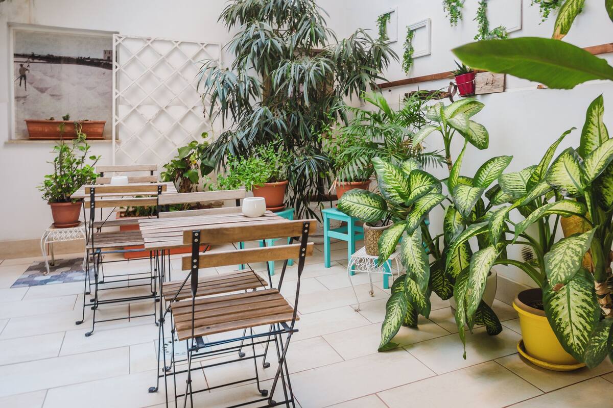 A cozy indoor space with a wooden table and chairs, surrounded by various potted plants.