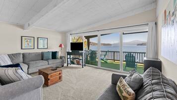 TV, fireplace, books