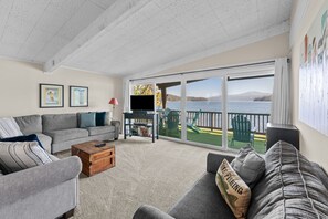 TV, fireplace, books