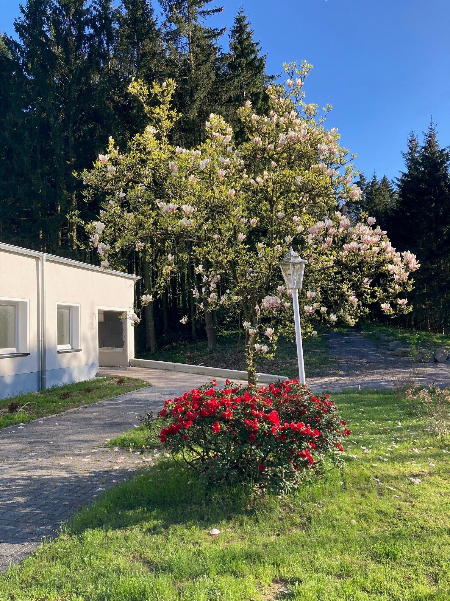 Enceinte de l’hébergement