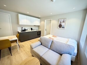 1 bedroom, iron/ironing board, WiFi, bed sheets - Lovely and cozy studio in charming Oslo (Oslo)