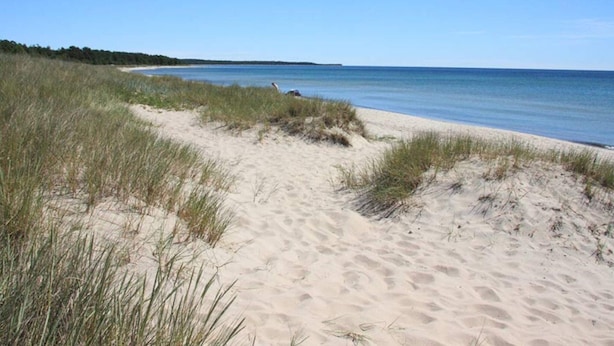 Huis | Strand