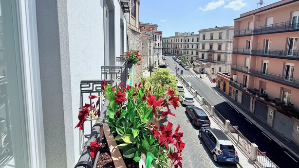 Ein Balkon mit Blumentöpfen und Blick auf eine Straße mit parkenden Autos und Gebäuden.