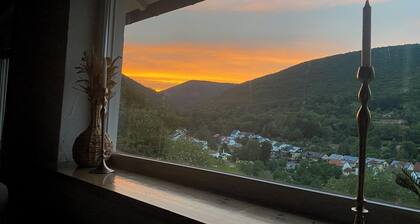 Cozy chalet on the edge of the forest with a view! Dog friendly.