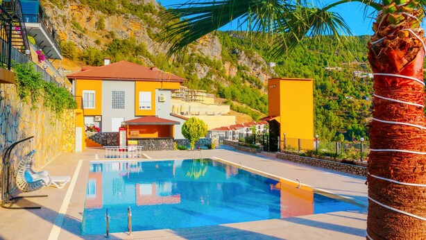 A swimming pool with a clear blue water surface, surrounded by a stone wall and a palm tree.
