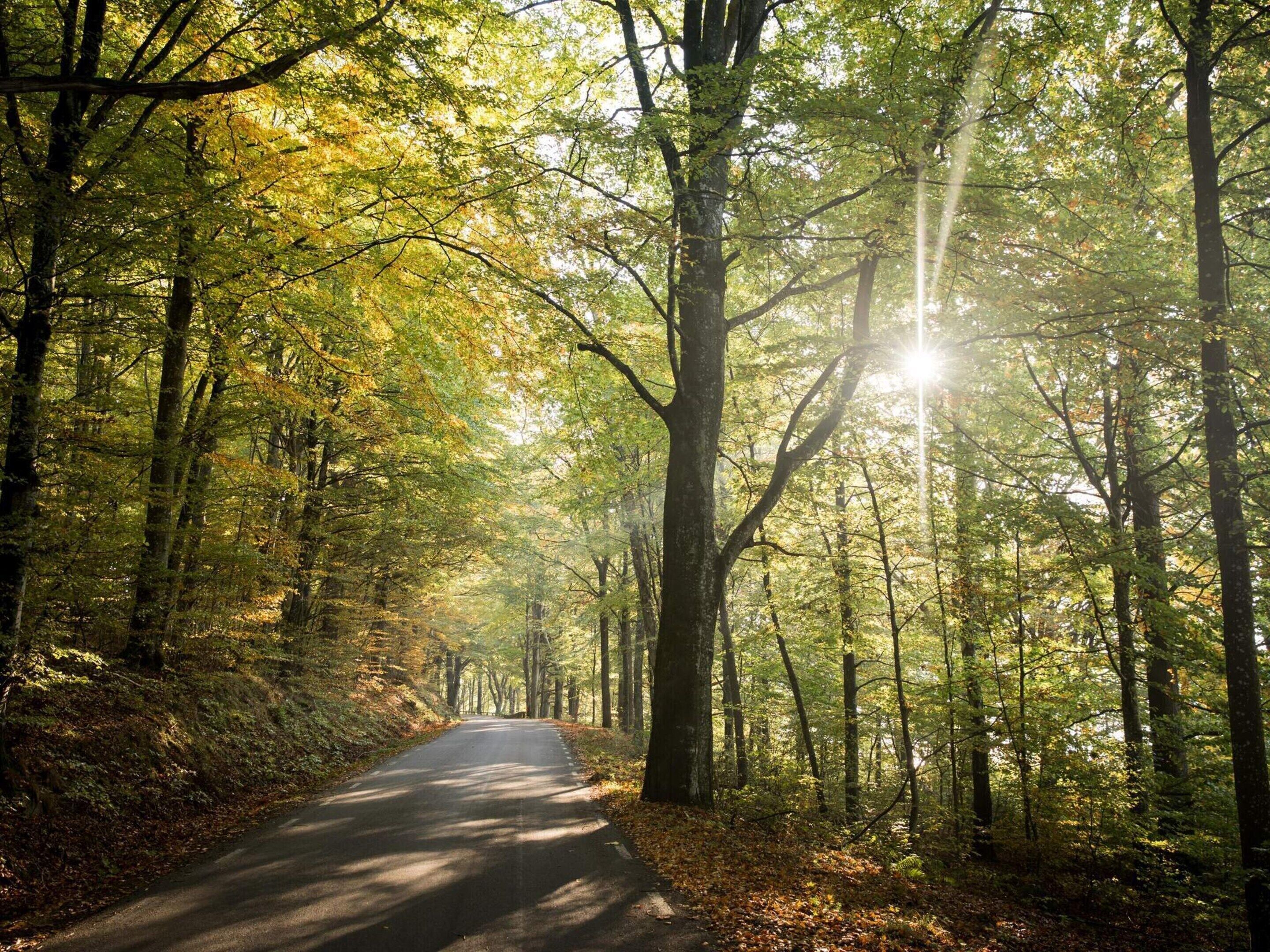 House | Miscellaneous