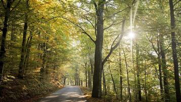 House | Miscellaneous