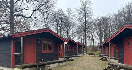 4 Person Holiday Park Home in Rolfstorp