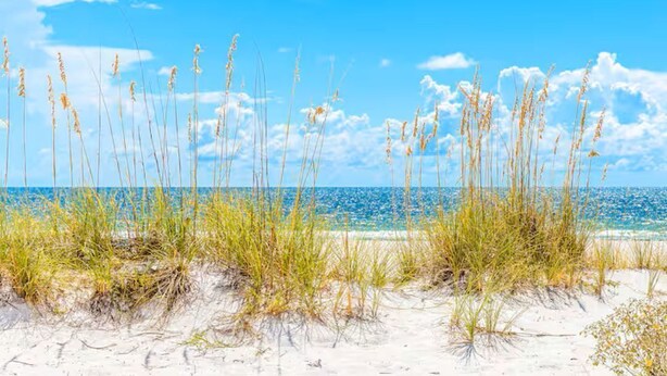 A beach with sand dunes and tall grasses in the foreground, leading to a clear blue ocean under a partly cloudy sky.