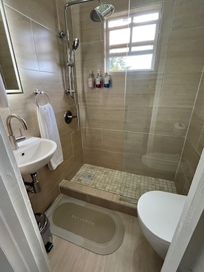 Shower, towels, soap, toilet paper
