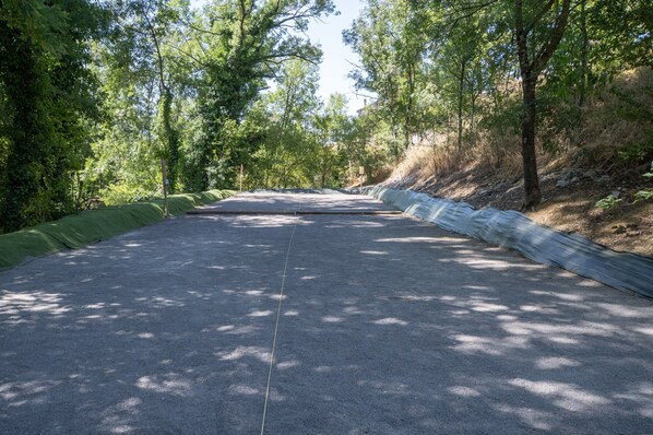 A paved road flanked by trees and a green safety barrier.