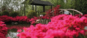 Bronsbergen Hotel & Wellness
