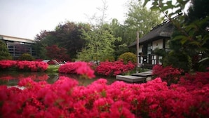 Un jardín con un estanque, rodeado de vibrantes flores rosas y varios árboles.